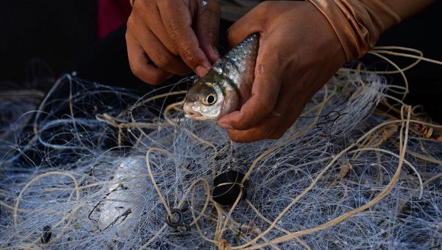 Un pêcheur vide son filet le 29 mai 2013 sur les bords du Mékong, près du village de Wiang Kaen, dans la province de Chiang Rai, au nord de la Thaïlande