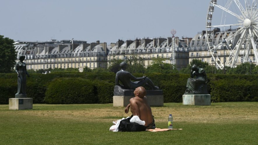 Un homme au Jardin des Tuileries à Paris, le 2 juillet 2015