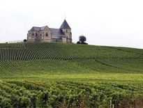 Le revenu agricole moyen en hausse de 7,6% en 2014