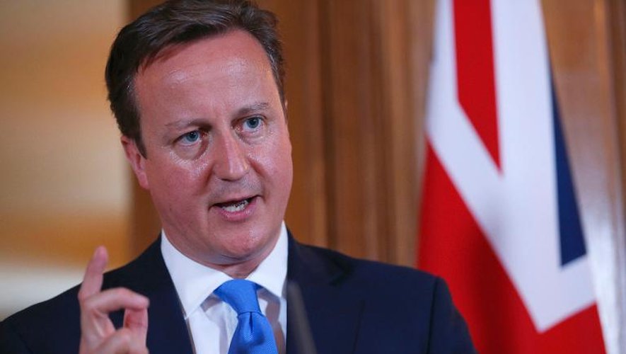 Le Premier ministre britannique, David Cameron, à Londres le 17 juillet 2013