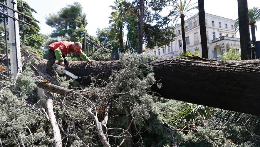 Un employé de la ville coupe un arbre tombé sur une voie publique lors d'un violent orage à Nice, le 29 juillet 2013