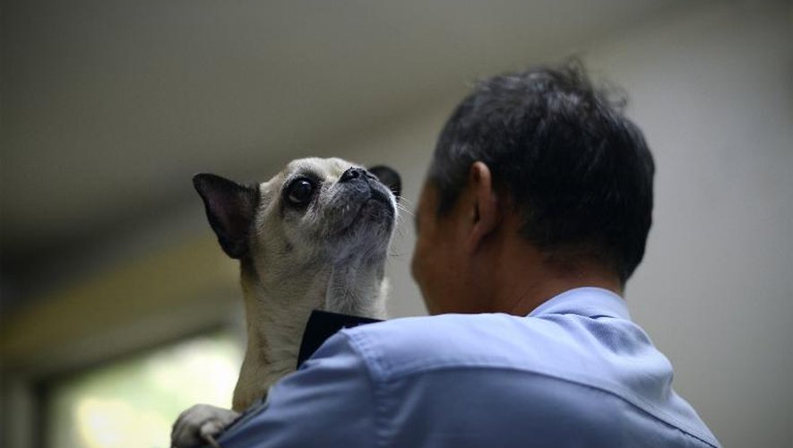 Xiao Hei, un policier chinois qui tient à être nommé uniquement par son pseudonyme d'internaute, porte un chien, le 19 juillet 2013 à Pékin