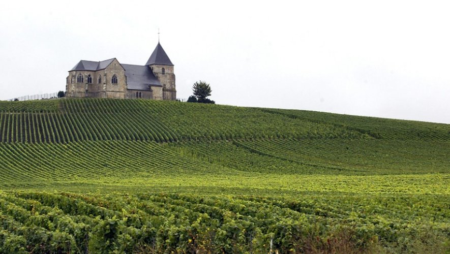 L'Unesco a accepté d'inscrire les côteaux, maisons et caves de Champagne au patrimoine mondial de l'humanité