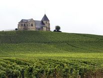 La Champagne et la Bourgogne viticoles inscrites au patrimoine de l'Unesco