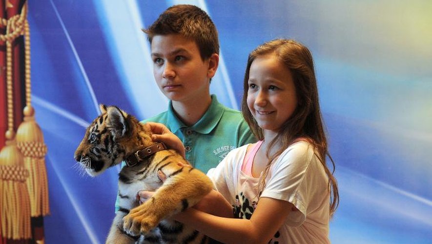 Des enfants posent avec un jeune tigre le 24 juillet 2013 au cirque de Moscou