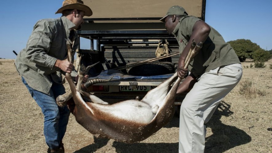 Le chasseur professionnel Tavi Fragoso (d), membre de l'association des chasseurs professionnels d'Afrique du Sud, près de la ferme d'Iwamanzi, dans la province du Nord-Ouest, le 6 juin 2015