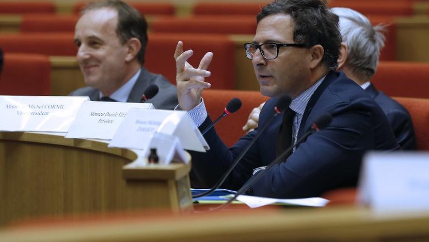 Le président d'Ecomouv, Daniele Meini, est entendu au Sénat le 8 janvier 2014