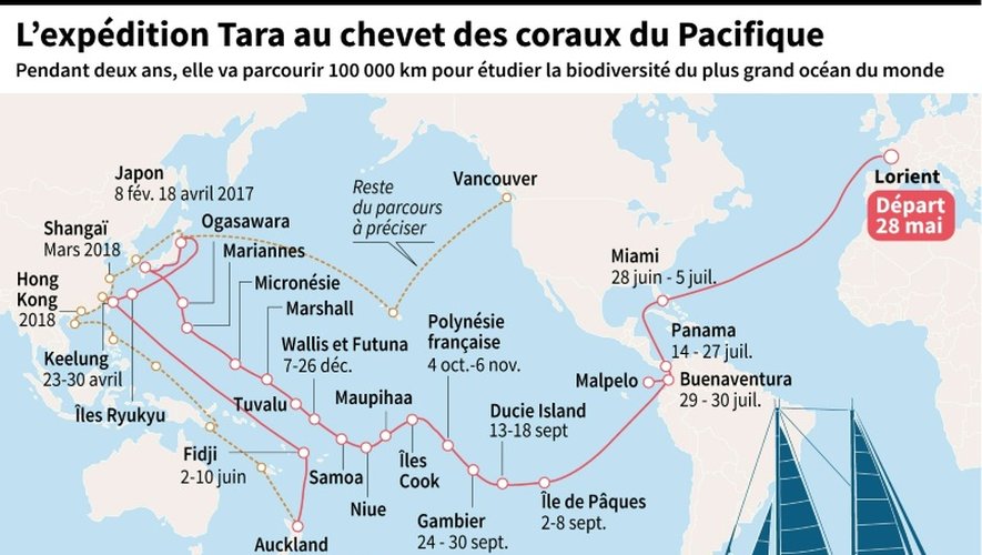 L'expédition Tara au chevet des coraux du Pacifique