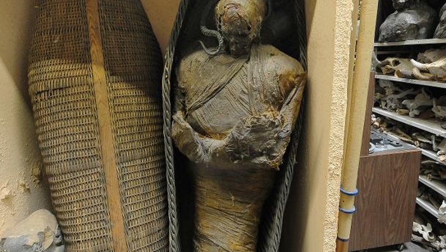 Une momie dans l'entrepôt de History For Hire, un loueur d'accessoires de décor de cinéma, à North Hollywood