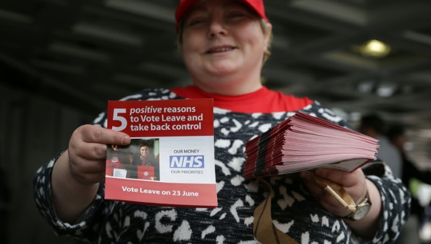 Joy, une partisane de "Vote leave", la campagne pour l'Union européenne à Londres le 29 mai 2016