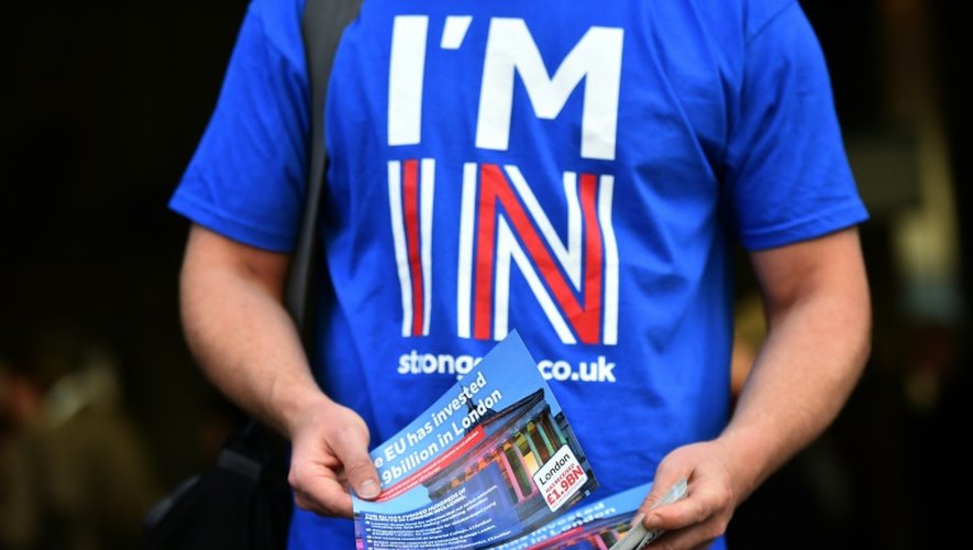Un militant pro-Europe distribue des prospectus à Londres le 14 avril 2016