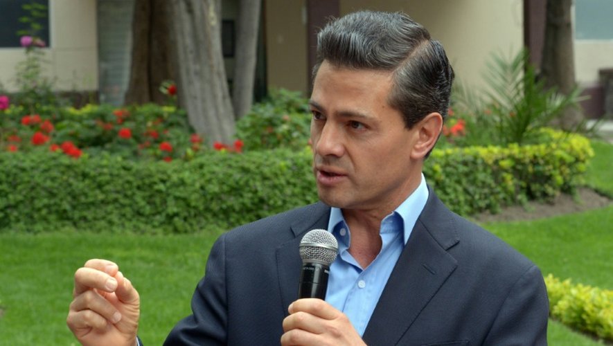 Le président Enrique Pena Nieto le 28 juin 2015 à Mexico