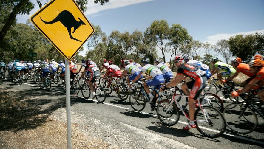 Un kangourou saute sur une cycliste australienne en provoquant la rupture de ses implants mammaires