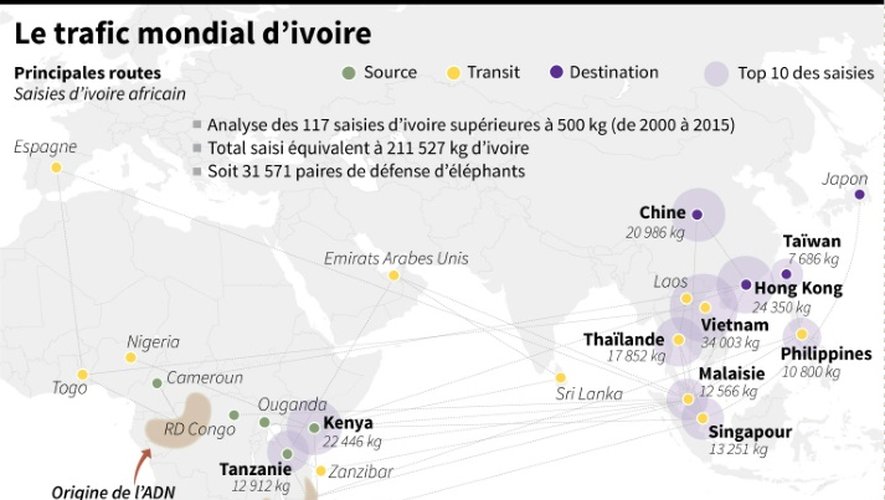 Le trafic mondial d'ivoire