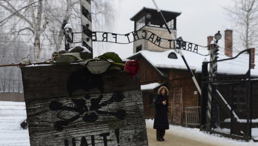 Une rose déposée à l'entrée du camp d'Auschwitz le 27 janvier 2013