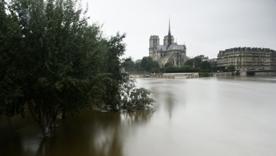 La Seine en crue près de Notre-Dame à Paris le 4 juin 2016