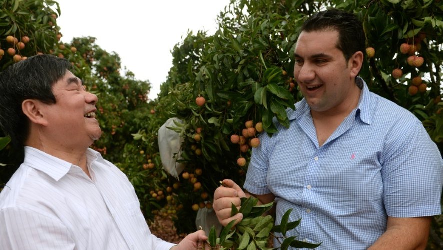 Nguyen Anh Cuong (g) vice président de la province vietnamienne de Hau Duong, et l'importateur de fruits australien Alex Alexopoulos visitent une exploitation agricole dans le district de Chi Linh le 7 juin 2015