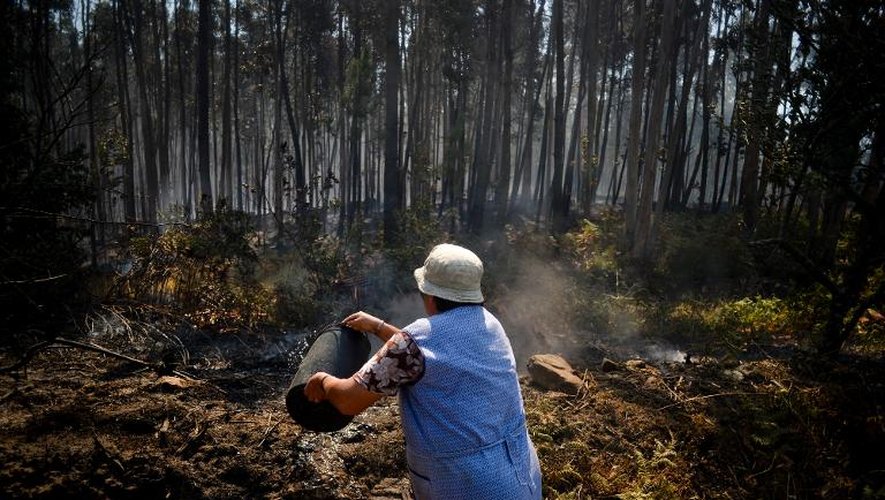 Une femme lutte contre un incendie de forêt le 27 août 2013 à Santo Adriao au Portugal