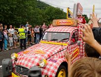 Pour la FDSEA, Cochonou n'est pas le bienvenu en Aveyron