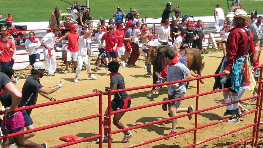 Des participants au premier lâcher de taureaux aux Etats-Unis, le 24 août 2013 à Petersburg, en Virginie
