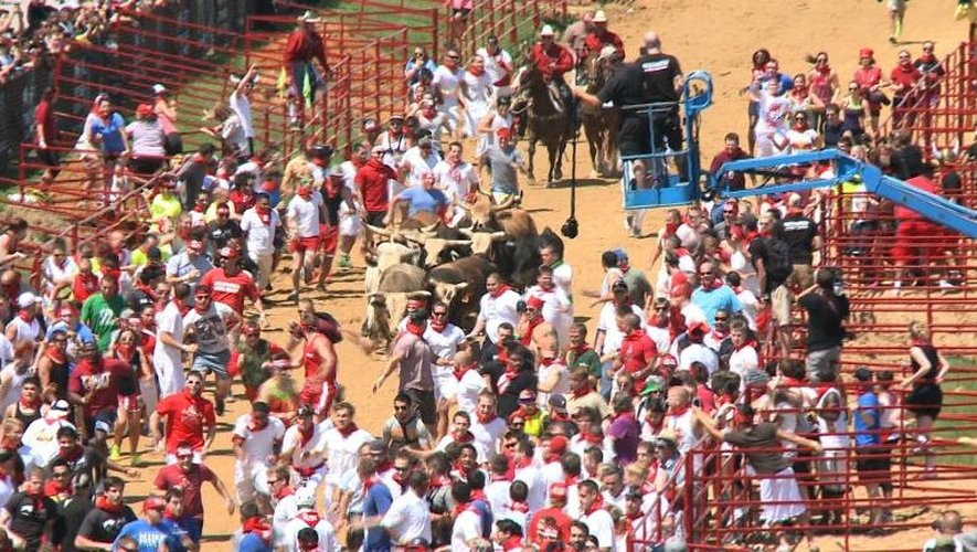 La tradition espagnole du lâcher de taureaux s'importe aux Etats-Unis