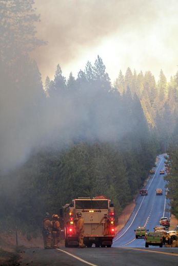 Des pompiers le 28 août 2013 dans le parc de Yosemite en Californie