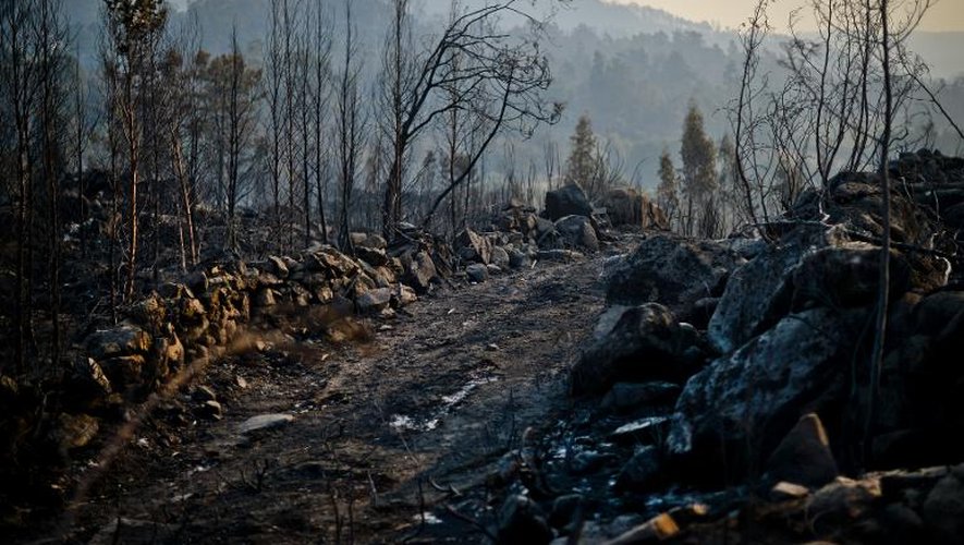 Un paysage de désolation dans les montagnes de Caramulo le 30 août 2013 après l'incendie