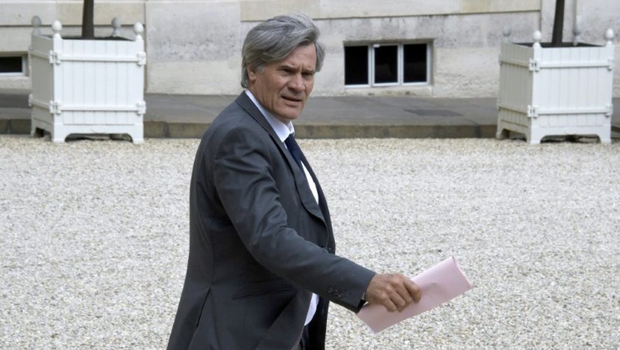 Le ministre de l'Agriculture, Stéphane Le Foll, le 24 juin 2015 à Paris