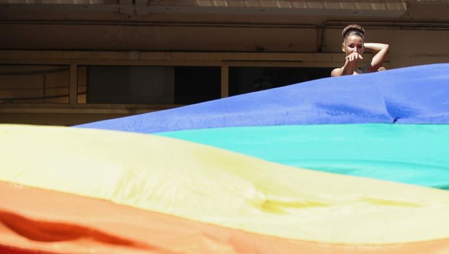 La drapeau arc-en-ciel dans le cortège de la Gay Pride à Nantes, le 14 juin 2014