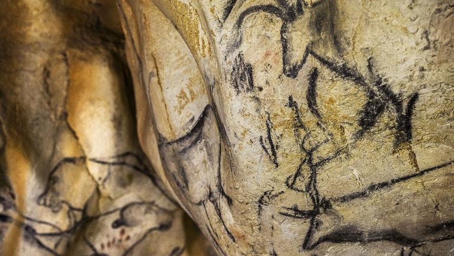 Dessins d'animaux vieux de 36.000 ans sur les murs de la grotte Chauvet, en Ardèche, photographiés le 13 juin 2014