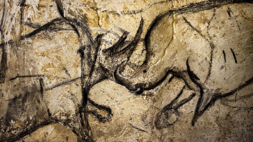 Dessin vieux de 36.000 ans sur une paroi de la grotte Chauvet, en Ardèche, photographié le 13 juin 2014