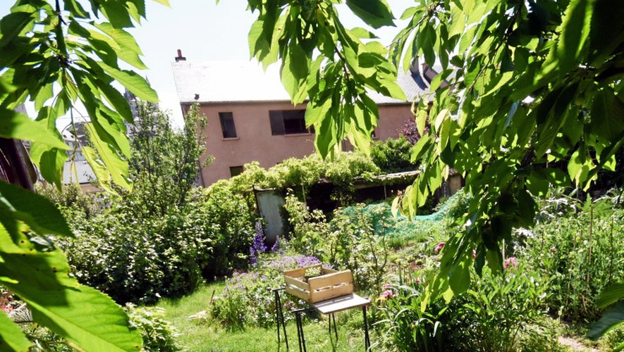 Chez Alina et Gabriel à Rodez, un jardin à découvrir ce week-end.