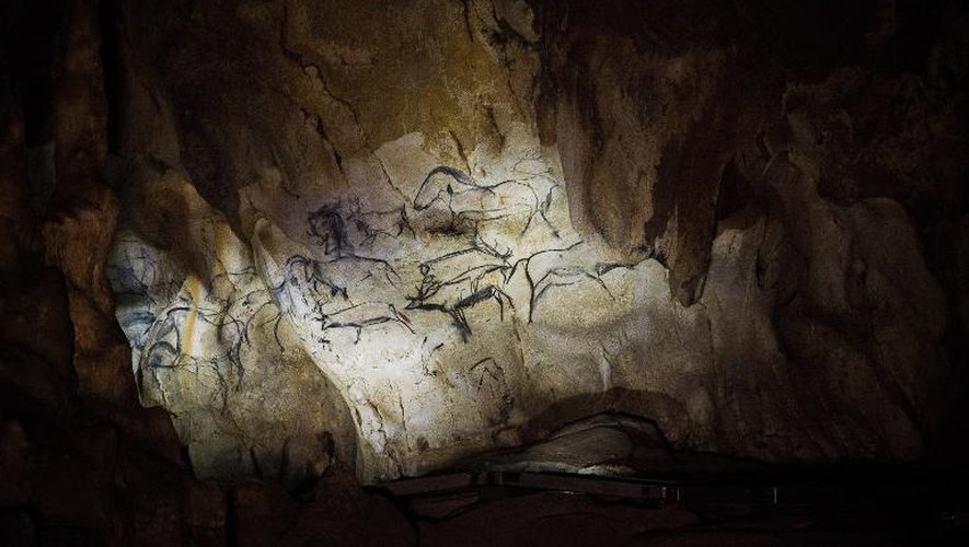 Peintures d'animaux vieilles de 36.000 ans sur les parois de la grotte Chauvet, en Ardèche, photographiées le 13 juin 2014