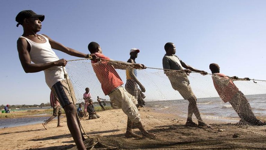 Des pêcheurs malawites tirent un filet de pêche sur les rives du Lac Malawi, près de Mangochi à l'est du pays, le 18 mai 2014