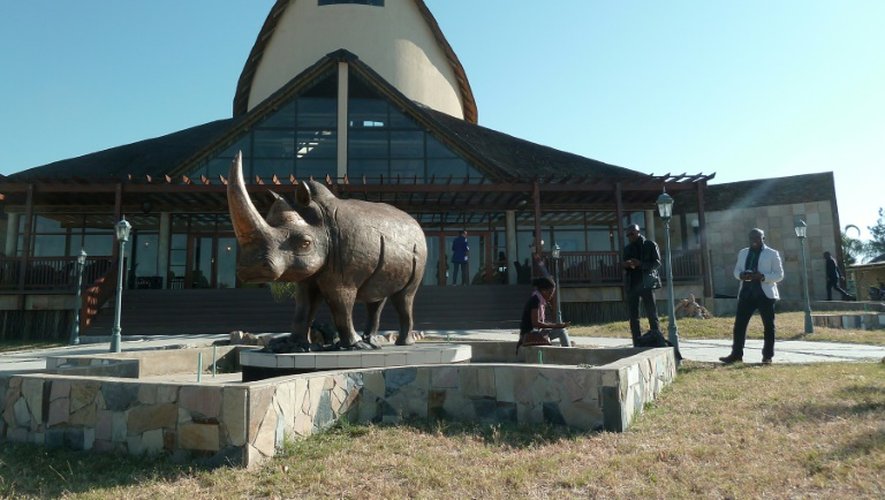 Une sculpture de rhinoceros le 4 juin 2016 à Menongue
