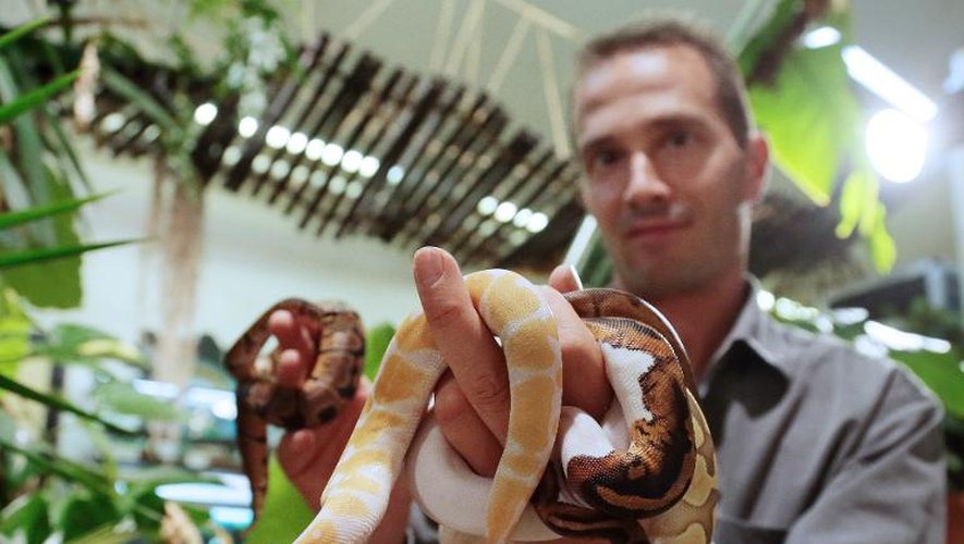 Karim Daoues, le fondateur de la Ferme Troppicale à Paris, présente des serpents, le 6 septembre 2013