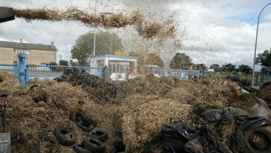 Des agriculteurs déversent de la paille devant un abattoir lors d'une manifestation contre la faiblesse des prix, à Villers-Bocage, le 19 juillet 2015