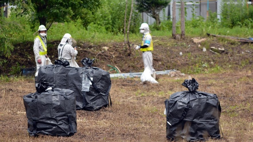 Des employés participent à une opération de décontamination le 17 juillet 2015 dans le village de Iitate dans la préfecture de Fukushima, qui n'a pas été évacué au moins un mois après l'accident de la centrale