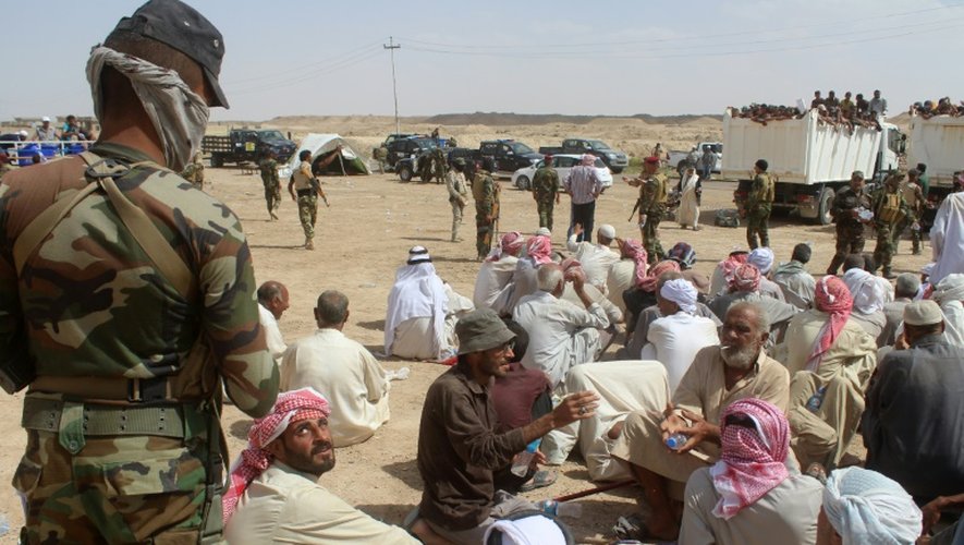 Des Irakiens déplacés évacués de leurs villages par l'armée au sud de la ville de Fallouja, bastion assiégé du groupe Etat islamique (EI)le 12 juin 2016