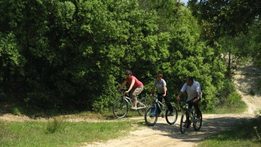 Parcourir la voie verte en vélo et en famille pour une balade sans difficulté.