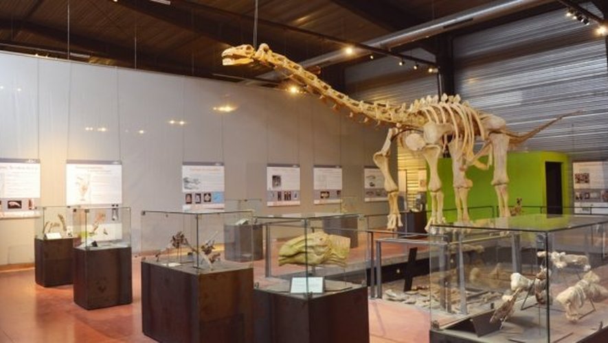 Les dinosaures reconstitués du musée d’Esperaza impressionnent toute la famille.