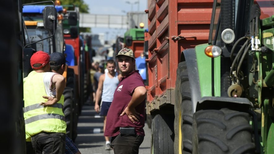 Des agriculteurs bloquent l'A7 le 23 juillet 2015 près de Lyon
