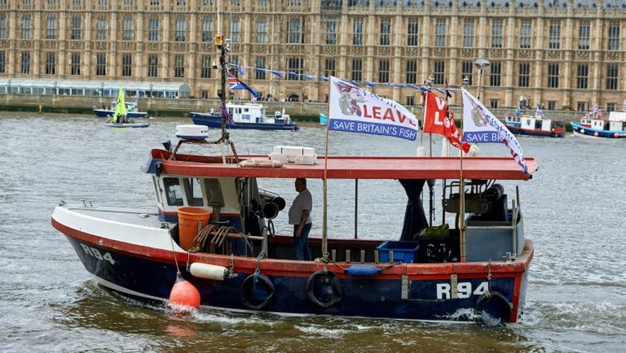 Des bateaux de pêcheurs en faveur du Brexit sur la Tamise à Londres, le 15 juin 2016