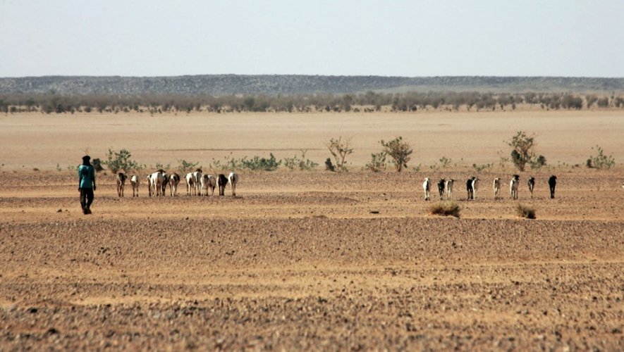 Photo prise dans le désert nigérien le 23 février 2005, entre Agadez et Arlit, à 850 km au nord de Niamey