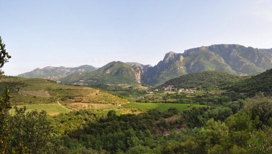 Les paysages très diversifiés du Haut-Languedoc s’étendent sur 306 000 ha.