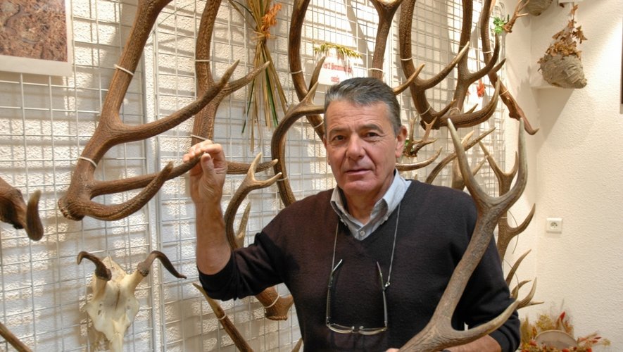 Dans son musée, Michel Garriguet expose les plus beaux spécimens des bois glanés dans les forêts de l'Aubrac.