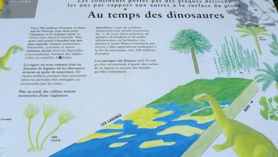 Saint-Laurent-de-Trèves - Sur les pas des dinosaures