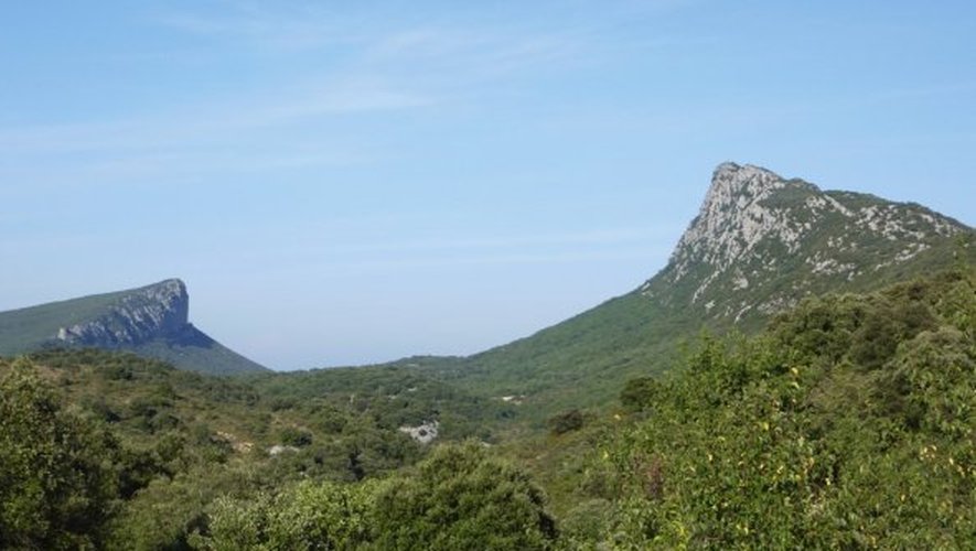 Au milieu de la garrigue, le Pic Saint-Loup (à droite) fait face à l’Hortus.