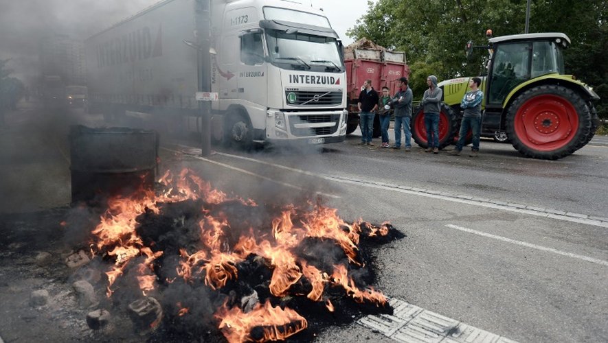 Les éleveurs bloquent l'accès aux véhicules en protestant sur un pont entre la France et l'Allemagne à Strasbourg le 27 juillet 2015