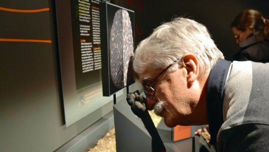 Les producteurs du Languedoc présentent la truffe dans un beau musée interactif.
